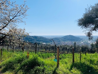 Foto Cessione attività a Massarosa Stiava di 100 m² in vendita