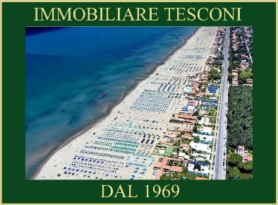 Foto Attività commerciale in viale roma 85, Pietrasanta di 6000 m²