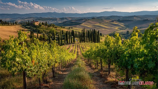 Foto Cessione attività a San Gimignano Centro con 11 locali in vendita