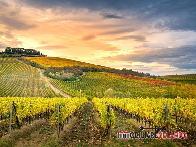 Foto Cessione attività a San Gimignano Centro con 11 locali in vendita