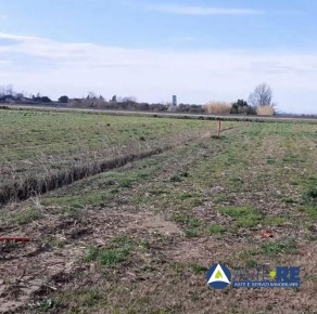Foto Terreno in Via vicinale Navareccia, Vecchiano Vecchiano Nodica