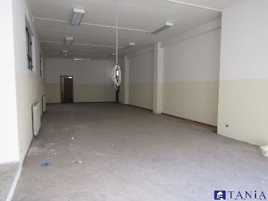 Foto Ufficio in Via carlo e giovanni sforza, Carrara Avenza di 140 m²