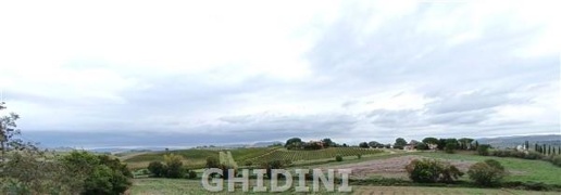 Foto Cessione attività a Magliano in Toscana di 570 m² con 11 locali