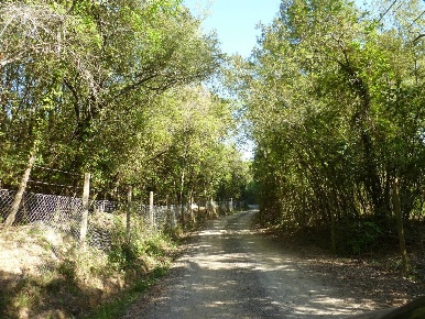 Foto Cessione attività a Gambassi Terme Centro di 2500 m² in vendita