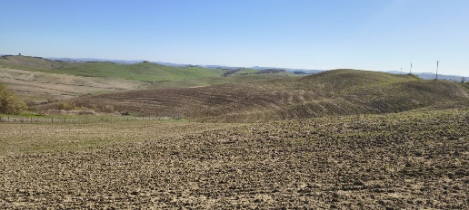 Foto Cessione attività a Murlo con 1 locali in vendita