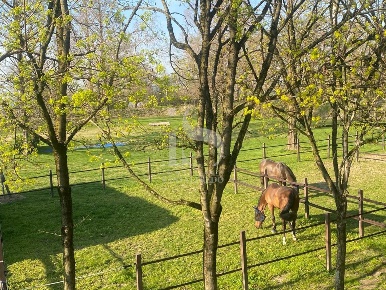 Foto Agriturismo in CASCINA CA DE ZECCHI, Tavazzano con Villavesco