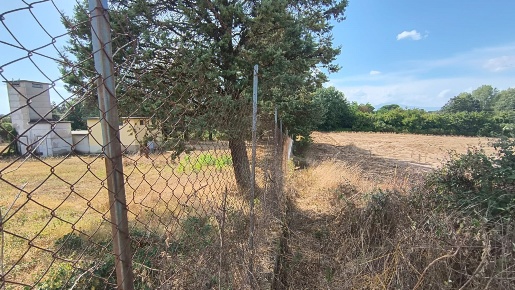 Foto Cessione attività a Acquapendente in vendita