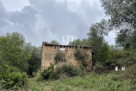 Foto Cessione attività in Via Vecchia, Roccastrada di 30000 m² in vendita