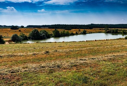 Foto Attività commerciale in Via Rodolfo Morandi, Umbertide di 1300 m²