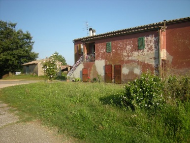 Foto Cessione attività a Sorano di 240 m² con 6 locali in vendita