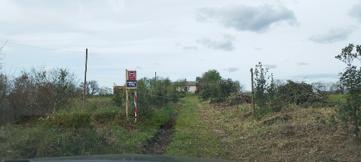 Foto Cessione attività a Acquapendente di 350 m² con 12 locali in vendita