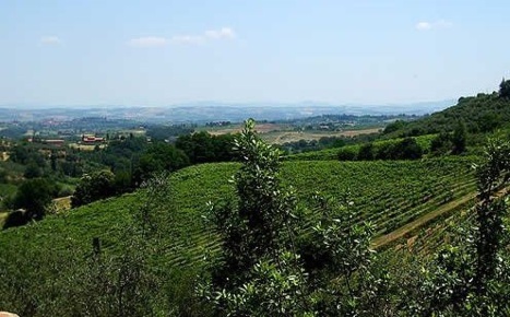 Foto Cessione attività a Montepulciano di 1000 m² con 40 locali in vendita
