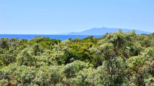 Foto Cessione attività a Manciano di 4000 m² con 50 locali in vendita