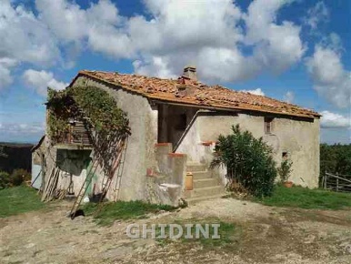 Foto Cessione attività a Scansano di 300 m² con 6 locali in vendita