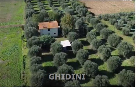 Foto Cessione attività a Campagnatico di 250 m² con 9 locali in vendita