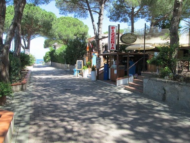Foto Attività commerciale a Marciana Procchio di 250 m² in vendita