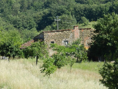 Foto Cessione attività a Civitella in Val di Chiana in vendita