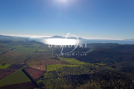 Foto Cessione attività in Loc. Podere Concini, Castiglione della Pescaia