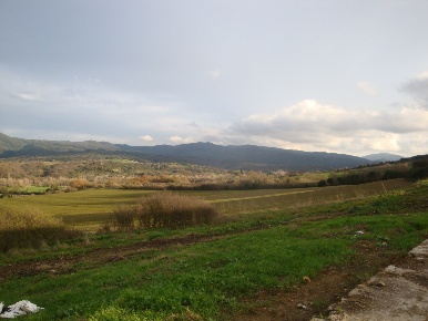 Foto Cessione attività a Bibbona con 1 locali in vendita