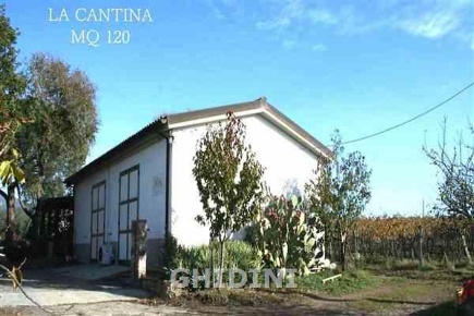 Foto Cessione attività a Roccastrada di 310 m² con 10 locali in vendita