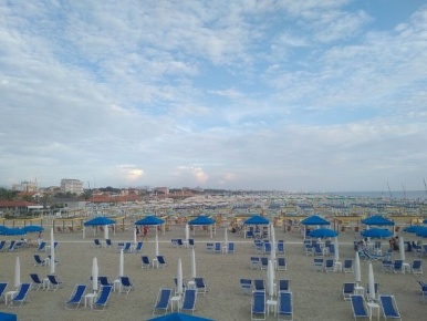 Foto Attività commerciale a Pietrasanta di 1 m² in vendita