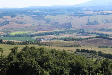 Foto Cessione attività in Loc Trevinano, Acquapendente di 1200 m²