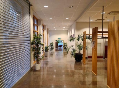 Foto Ufficio in Via Tiburtina 1000, Roma di 50 m² con 100 locali in vendita