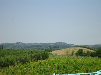 Foto Cessione attività a Certaldo di 2500 m² in vendita
