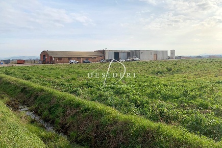 Foto Cessione attività a Grosseto La Principina di 1594 m² con 14 locali