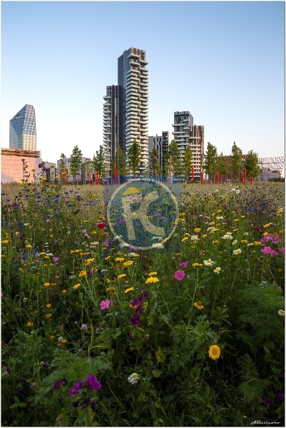 immagine annuncio 1 di 11