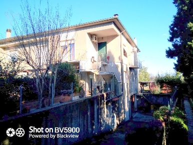 Foto Magazzino a Castagneto Carducci di 170 m² con 1 locali in vendita