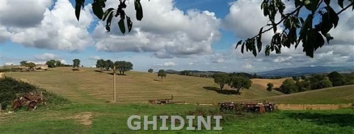Foto Cessione attività a Scansano di 1 m² con 1 locali in vendita