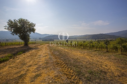 Foto Cessione attività in Località podere Ceretelle, Gavorrano Centro