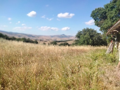 Foto Cessione attività a Castell'Azzara di 500 m² con 20 locali in vendita