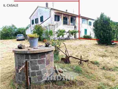 Foto Cessione attività a Civitella Paganico di 350 m² con 10 locali