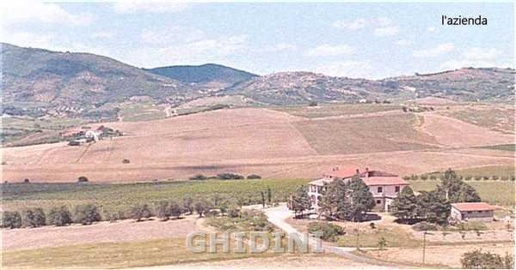 Foto Cessione attività a Castel del Piano di 400 m² con 12 locali