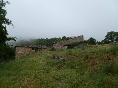 Foto Cessione attività a Piegaro Centro di 3000 m² con 50 locali in vendita