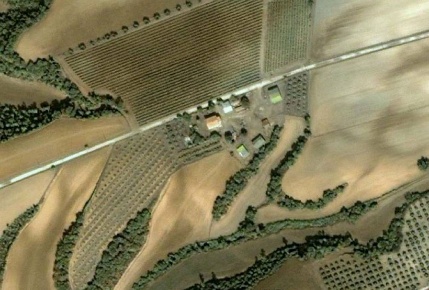 Foto Cessione attività in loc.Il Pantano, Pitigliano di 800 m² in vendita