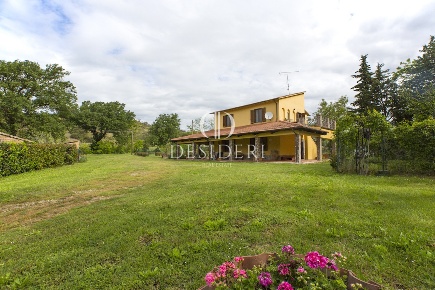 Foto Cessione attività in podere san Lorenzo loc. Molinello, Cinigiano
