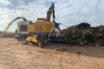 Foto Attività commerciale in via delle collacchie, Grosseto La Principina