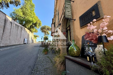 Foto Attività commerciale in via Massimo D' Azeglio 1, Castel Gandolfo
