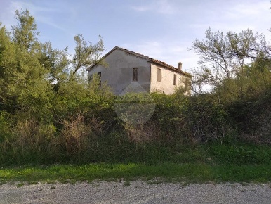 Foto Cessione attività in LOCALITA' COLLE ARENARIO, Campli in vendita