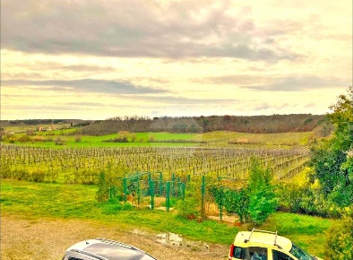 Foto Cessione attività in Via Cairoli, Castiglione del Lago Contrada Prati