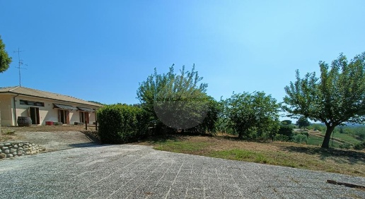 Foto Cessione attività in c.da Gaudiosi, Silvi Pianacce, Colle Stella