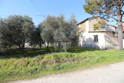Foto Laboratorio in Via Pisana, Lucca Montuolo di 200 m² con 7 locali