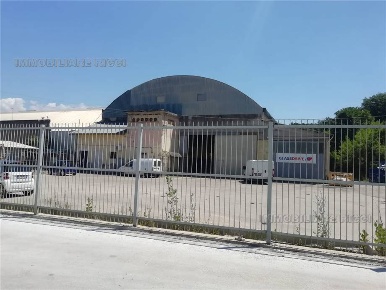 Foto Attività commerciale in -, Pontecorvo di 4000 m² con 1 locali