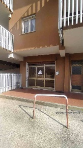Foto Negozio in Via San Giovanni Battista snc, Pontecorvo Centro di 60 m²