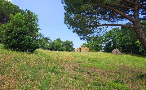 Foto Struttura sanitaria in Via della Repubblica, Castellina Marittima