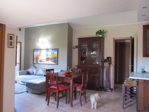 immagine annuncio 4 di 14