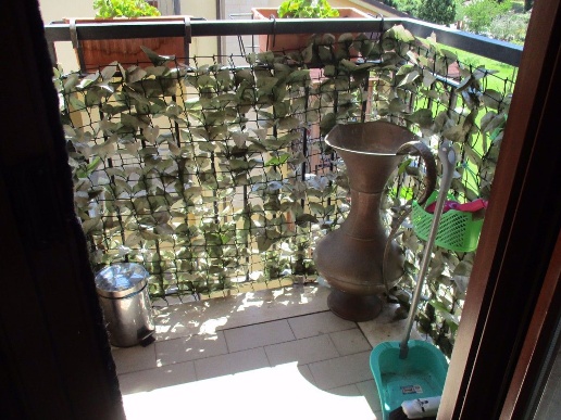 immagine annuncio 5 di 14